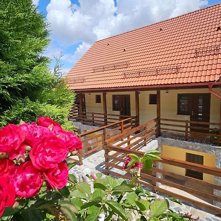 Matei Residence Brasov Exterior photo