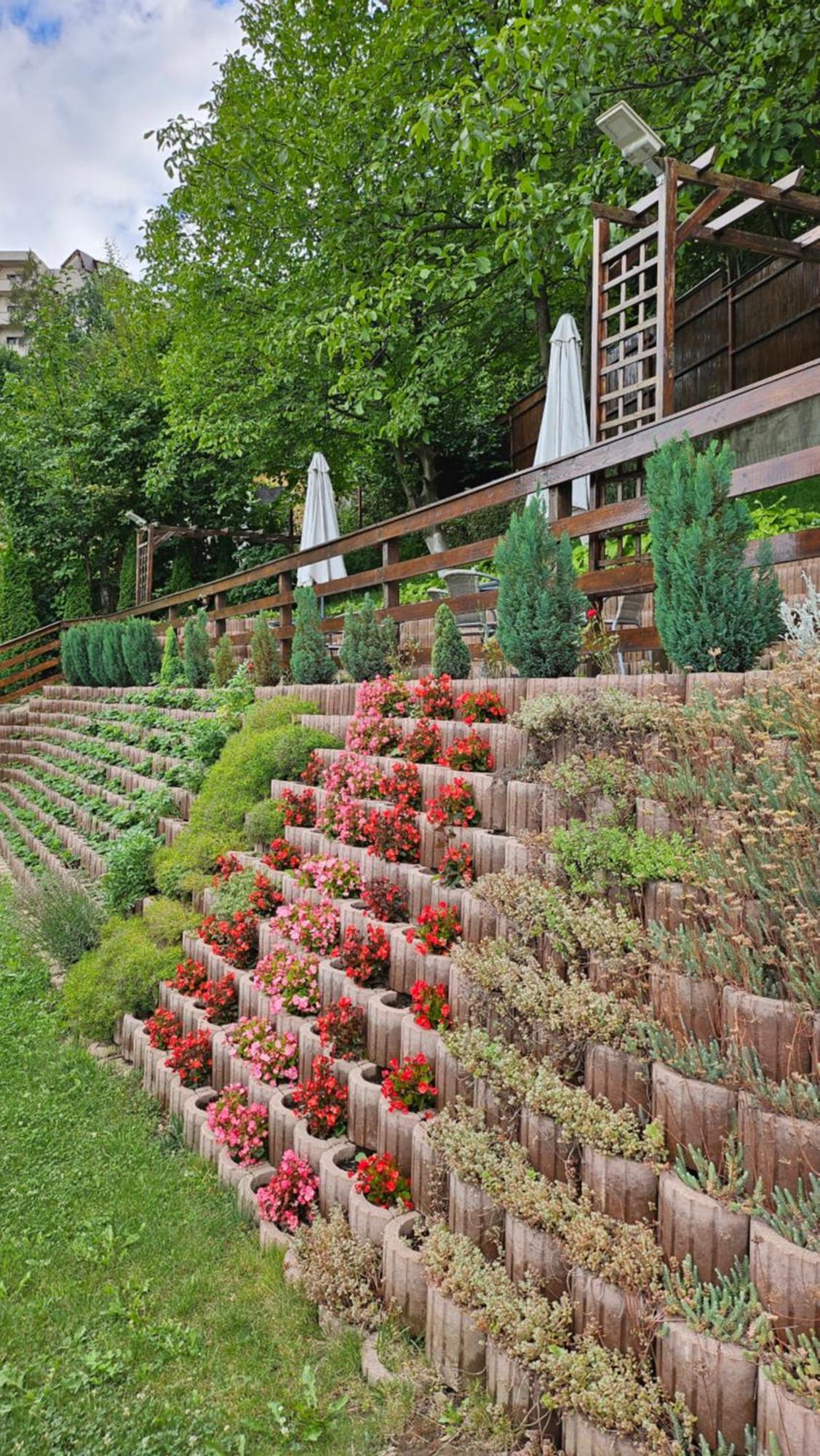 Matei Residence Brasov Exterior photo